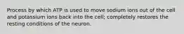 Process by which ATP is used to move sodium ions out of the cell and potassium ions back into the cell; completely restores the resting conditions of the neuron.