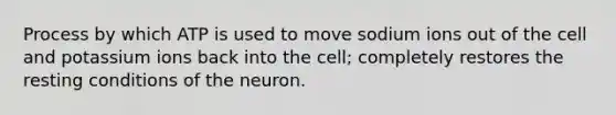 Process by which ATP is used to move sodium ions out of the cell and potassium ions back into the cell; completely restores the resting conditions of the neuron.