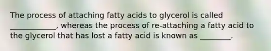 The process of attaching fatty acids to glycerol is called ____________, whereas the process of re-attaching a fatty acid to the glycerol that has lost a fatty acid is known as ________.