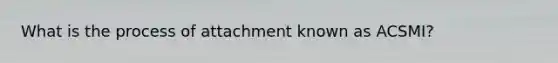 What is the process of attachment known as ACSMI?