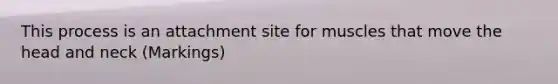 This process is an attachment site for muscles that move the head and neck (Markings)