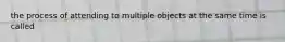 the process of attending to multiple objects at the same time is called