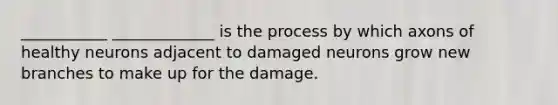 ___________ _____________ is the process by which axons of healthy neurons adjacent to damaged neurons grow new branches to make up for the damage.