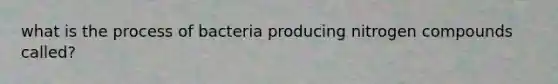 what is the process of bacteria producing nitrogen compounds called?