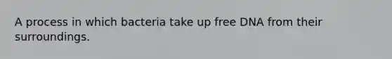 A process in which bacteria take up free DNA from their surroundings.