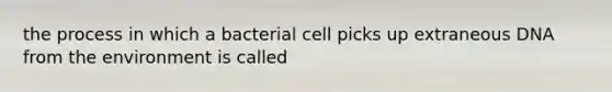 the process in which a bacterial cell picks up extraneous DNA from the environment is called