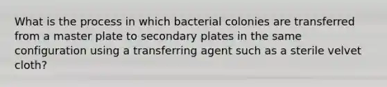 What is the process in which bacterial colonies are transferred from a master plate to secondary plates in the same configuration using a transferring agent such as a sterile velvet cloth?