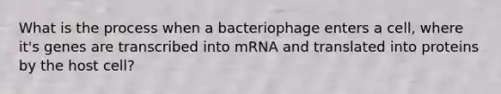 What is the process when a bacteriophage enters a cell, where it's genes are transcribed into mRNA and translated into proteins by the host cell?