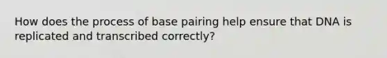 How does the process of base pairing help ensure that DNA is replicated and transcribed correctly?