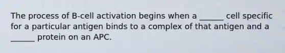 The process of B-cell activation begins when a ______ cell specific for a particular antigen binds to a complex of that antigen and a ______ protein on an APC.