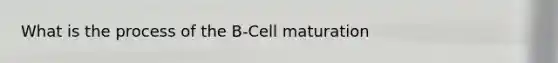 What is the process of the B-Cell maturation