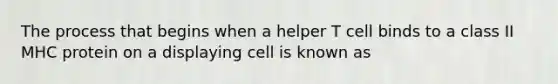 The process that begins when a helper T cell binds to a class II MHC protein on a displaying cell is known as