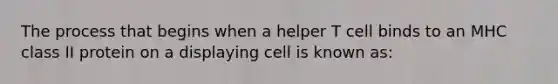 The process that begins when a helper T cell binds to an MHC class II protein on a displaying cell is known as: