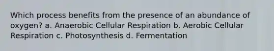 Which process benefits from the presence of an abundance of oxygen? a. Anaerobic Cellular Respiration b. Aerobic Cellular Respiration c. Photosynthesis d. Fermentation