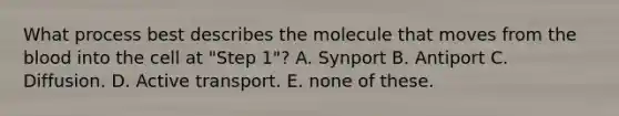 What process best describes the molecule that moves from <a href='https://www.questionai.com/knowledge/k7oXMfj7lk-the-blood' class='anchor-knowledge'>the blood</a> into the cell at "Step 1"? A. Synport B. Antiport C. Diffusion. D. Active transport. E. none of these.