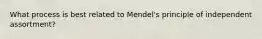 What process is best related to Mendel's principle of independent assortment?