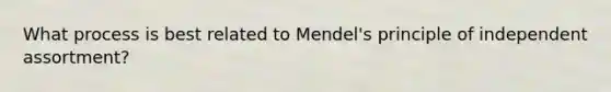 What process is best related to Mendel's principle of independent assortment?