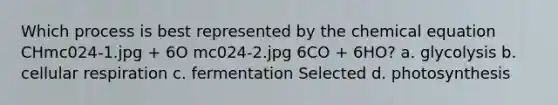 Which process is best represented by the chemical equation CHmc024-1.jpg + 6O mc024-2.jpg 6CO + 6HO? a. glycolysis b. cellular respiration c. fermentation Selected d. photosynthesis