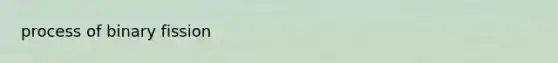 process of binary fission