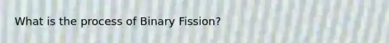 What is the process of Binary Fission?