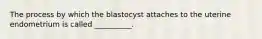 The process by which the blastocyst attaches to the uterine endometrium is called __________.