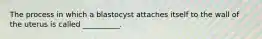 The process in which a blastocyst attaches itself to the wall of the uterus is called __________.