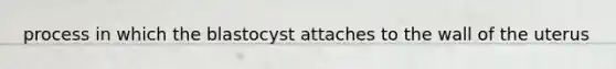 process in which the blastocyst attaches to the wall of the uterus
