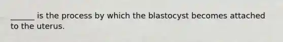 ______ is the process by which the blastocyst becomes attached to the uterus.