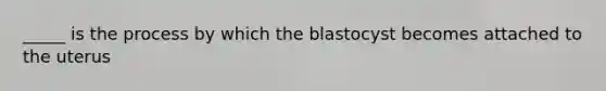 _____ is the process by which the blastocyst becomes attached to the uterus