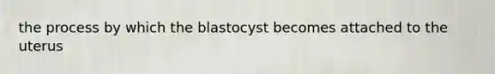 the process by which the blastocyst becomes attached to the uterus