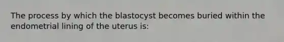 The process by which the blastocyst becomes buried within the endometrial lining of the uterus is: