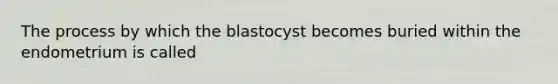 The process by which the blastocyst becomes buried within the endometrium is called