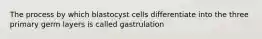 The process by which blastocyst cells differentiate into the three primary germ layers is called gastrulation