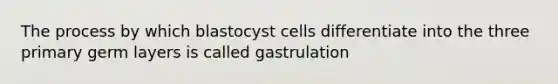 The process by which blastocyst cells differentiate into the three primary germ layers is called gastrulation