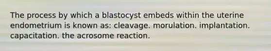 The process by which a blastocyst embeds within the uterine endometrium is known as: cleavage. morulation. implantation. capacitation. the acrosome reaction.