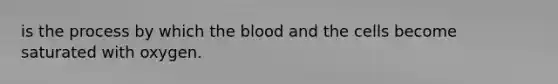 is the process by which the blood and the cells become saturated with oxygen.