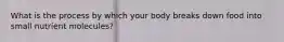 What is the process by which your body breaks down food into small nutrient molecules?