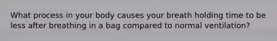 What process in your body causes your breath holding time to be less after breathing in a bag compared to normal ventilation?