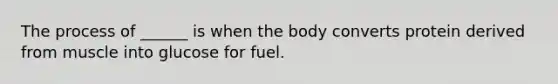 The process of ______ is when the body converts protein derived from muscle into glucose for fuel.