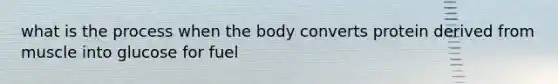 what is the process when the body converts protein derived from muscle into glucose for fuel