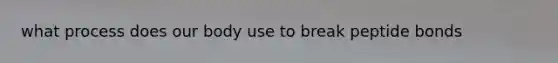 what process does our body use to break peptide bonds