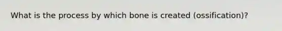 What is the process by which bone is created (ossification)?