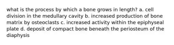 what is the process by which a bone grows in length? a. cell division in the medullary cavity b. increased production of bone matrix by osteoclasts c. increased activity within the epiphyseal plate d. deposit of compact bone beneath the periosteum of the diaphysis