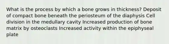 What is the process by which a bone grows in thickness? Deposit of compact bone beneath the periosteum of the diaphysis Cell division in the medullary cavity Increased production of bone matrix by osteoclasts Increased activity within the epiphyseal plate