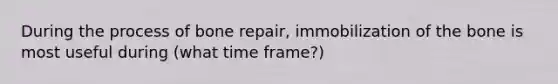 During the process of bone repair, immobilization of the bone is most useful during (what time frame?)