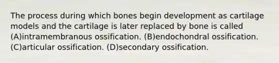 The process during which bones begin development as cartilage models and the cartilage is later replaced by bone is called (A)intramembranous ossification. (B)endochondral ossification. (C)articular ossification. (D)secondary ossification.