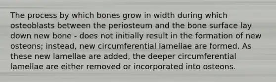 The process by which bones grow in width during which osteoblasts between the periosteum and the bone surface lay down new bone - does not initially result in the formation of new osteons; instead, new circumferential lamellae are formed. As these new lamellae are added, the deeper circumferential lamellae are either removed or incorporated into osteons.