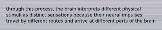 through this process, the brain interprets different physical stimuli as distinct sensations because their neural impulses travel by different routes and arrive at different parts of the brain