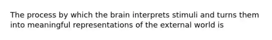 The process by which the brain interprets stimuli and turns them into meaningful representations of the external world is