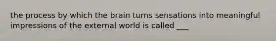 the process by which the brain turns sensations into meaningful impressions of the external world is called ___
